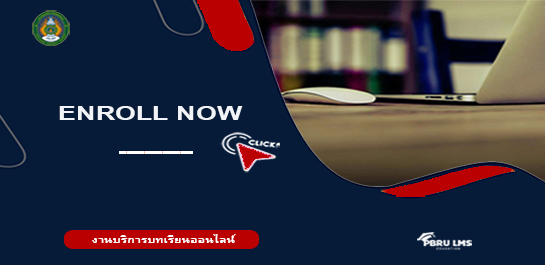 การบริหารราชการแผ่นดิน